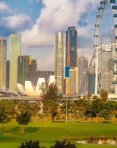 Progettazione del verde pubblico