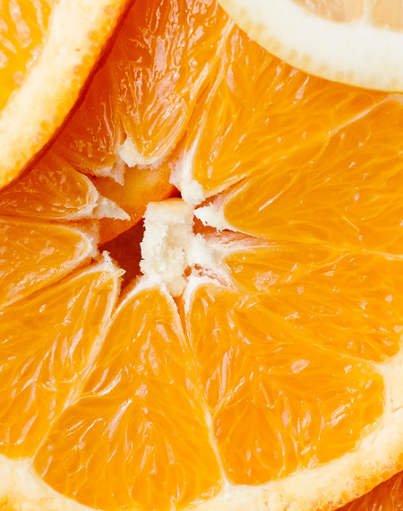 Software 3D Studio Max