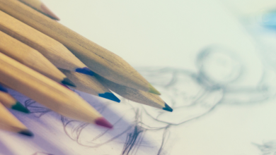 Renovación y remodelación