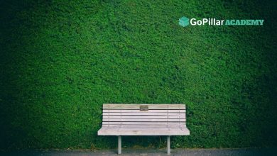 Come progettare un giardino?