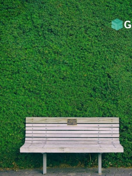 Come progettare un giardino?