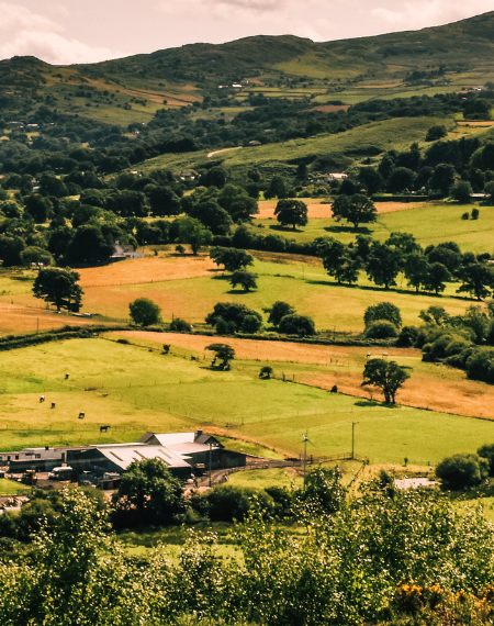 casa sustentable impresa en 3D