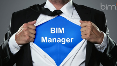 Managing BIM like a pro
