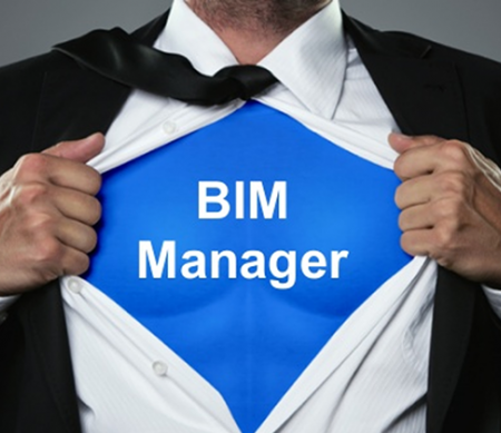 Managing BIM like a pro