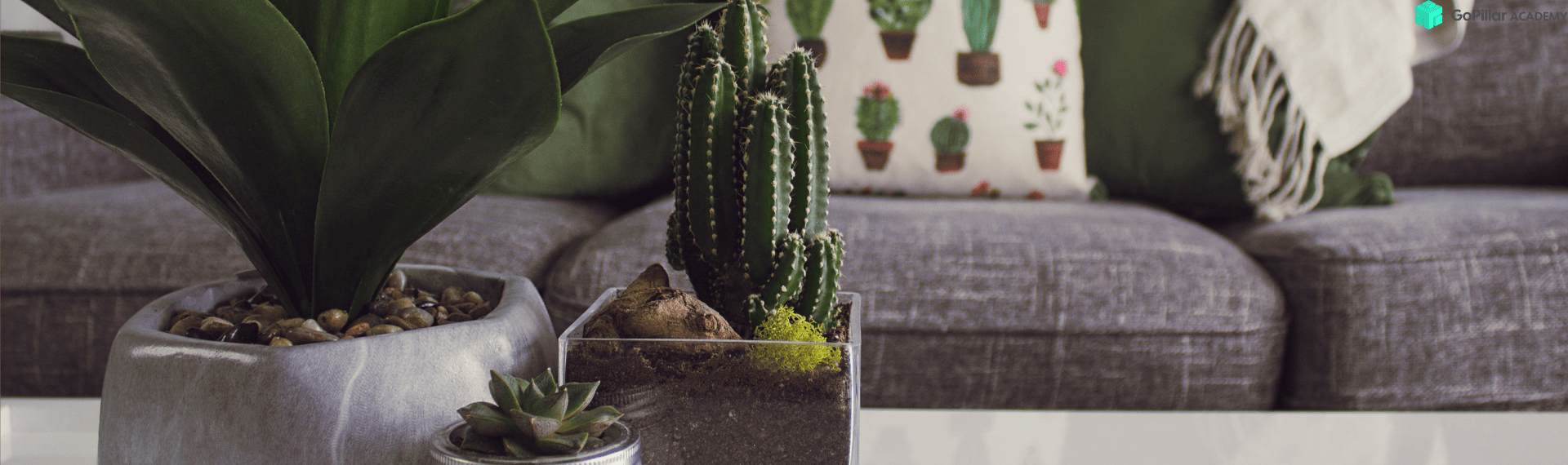 Progettare casa online