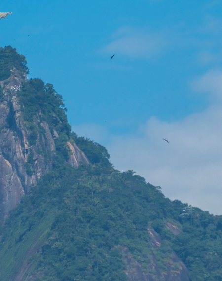 Statua del Cristo Redentore