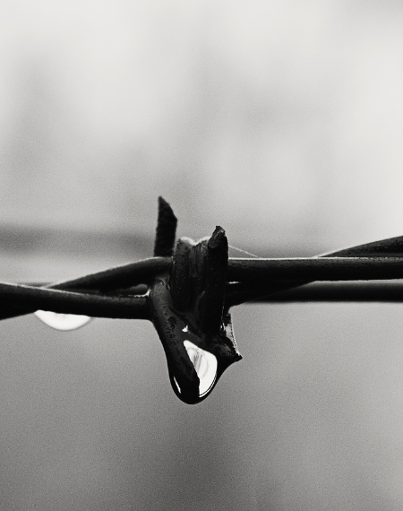 Rendering en tiempo real