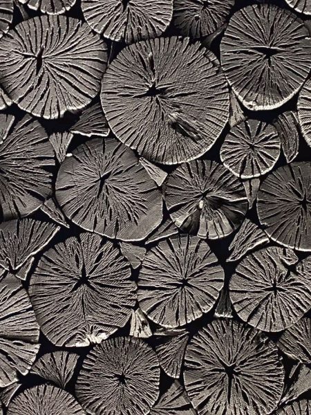 recursos y texturas gratis