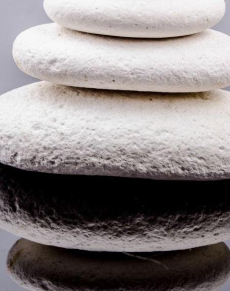 Giardini zen giapponesi