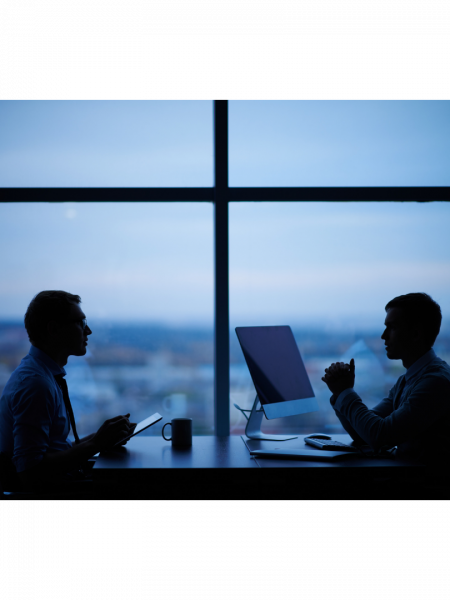 LinkedIn, potenzialità