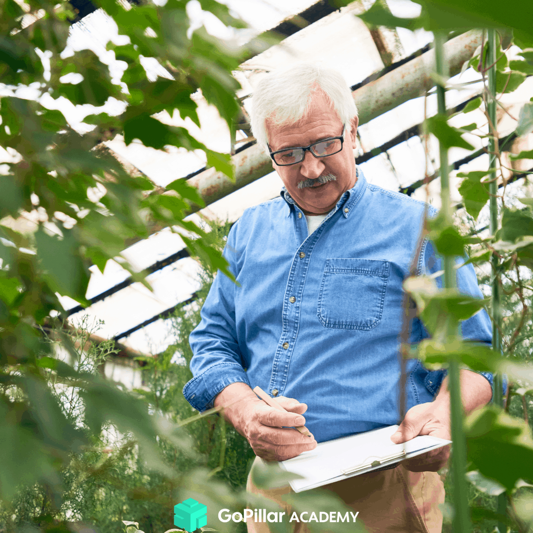Agrotecnico: la normativa Docfa