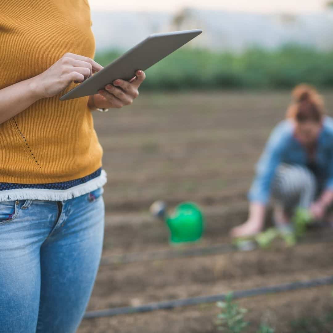Agrotecnico: la normativa Docfa