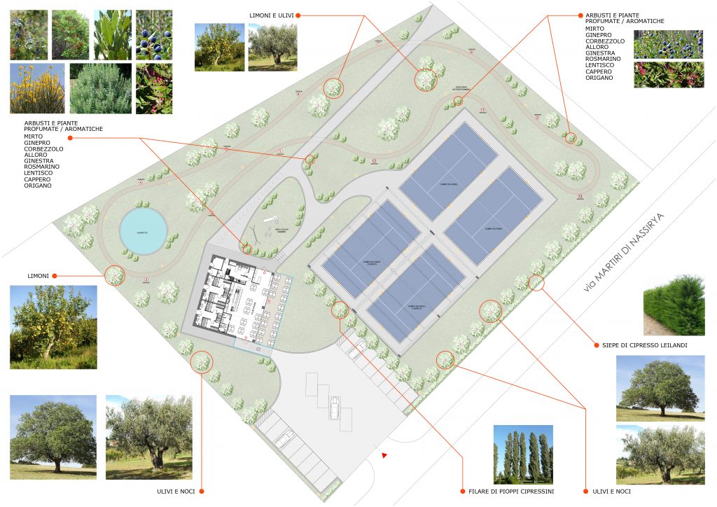 Bio Padel Eco-sustainable renovation