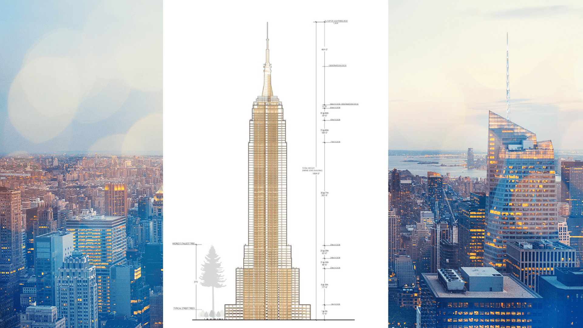 regalos para un arquitecto