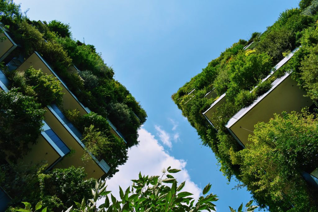 application of biophilia in cities